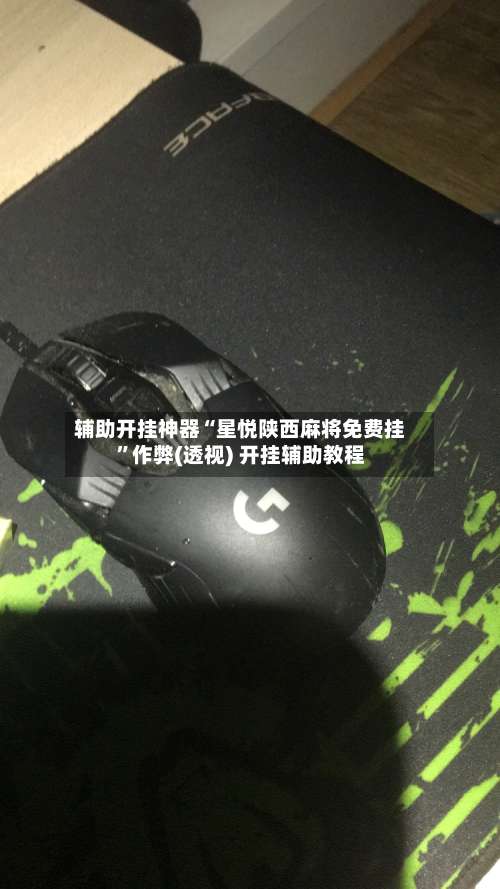 辅助开挂神器“星悦陕西麻将免费挂	”作弊(透视) 开挂辅助教程-第3张图片