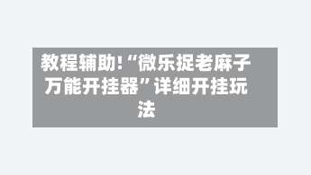 教程辅助!“微乐捉老麻子万能开挂器”详细开挂玩法-第1张图片