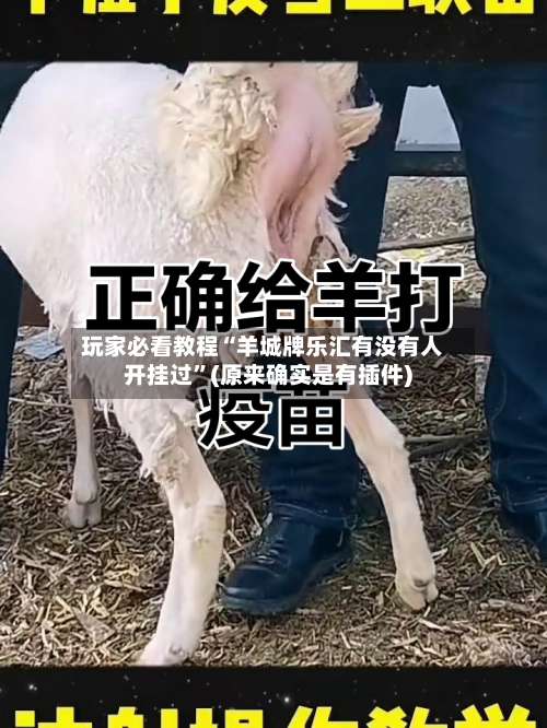 玩家必看教程“羊城牌乐汇有没有人开挂过	”(原来确实是有插件)-第1张图片