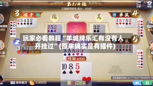 玩家必看教程“羊城牌乐汇有没有人开挂过”(原来确实是有插件)-第2张图片