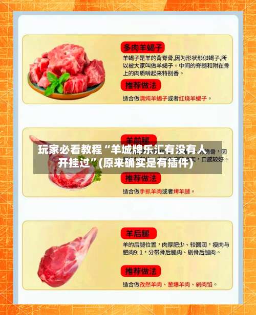 玩家必看教程“羊城牌乐汇有没有人开挂过”(原来确实是有插件)-第3张图片