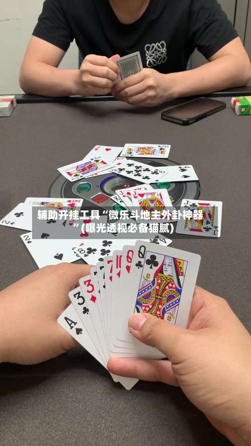 辅助开挂工具“微乐斗地主外卦神器”(曝光透视必备猫腻)-第3张图片