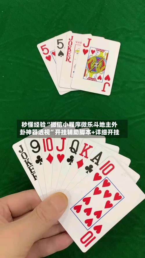 秒懂经验“微信小程序微乐斗地主外卦神器透视”开挂辅助脚本+详细开挂-第1张图片