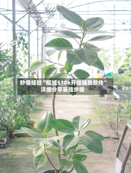 秒懂经验“榕城510k开挂辅助软件”详细分享装挂步骤-第1张图片