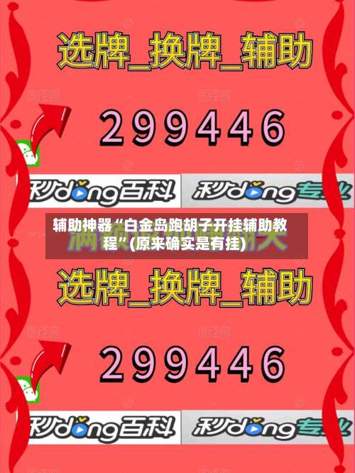 辅助神器“白金岛跑胡子开挂辅助教程”(原来确实是有挂)-第3张图片