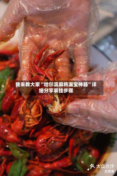 我来教大家“哈尔滨麻将漏宝神器”详细分享装挂步骤-第1张图片