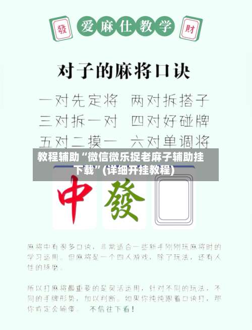 教程辅助“微信微乐捉老麻子辅助挂下载”(详细开挂教程)-第1张图片