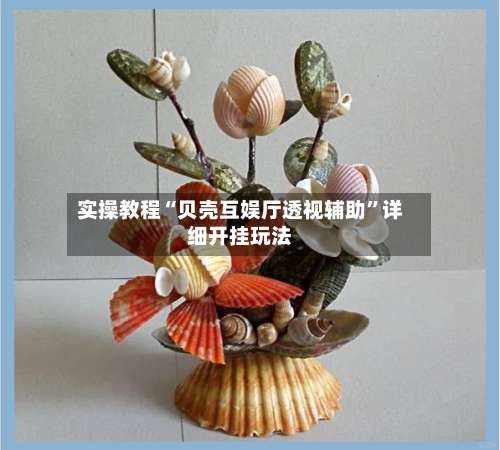 实操教程“贝壳互娱厅透视辅助”详细开挂玩法-第1张图片