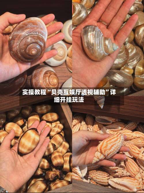 实操教程“贝壳互娱厅透视辅助”详细开挂玩法-第3张图片