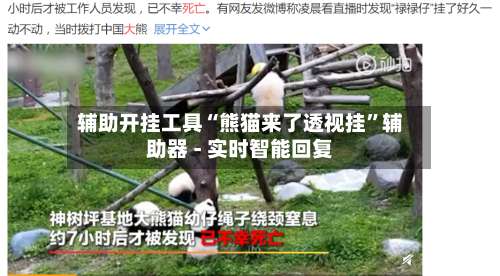 辅助开挂工具“熊猫来了透视挂	”辅助器 - 实时智能回复-第2张图片
