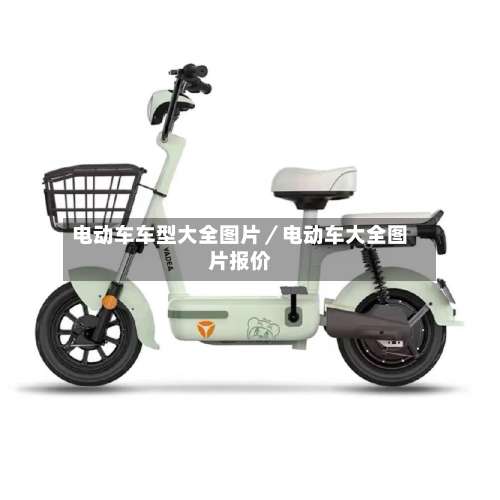 电动车车型大全图片／电动车大全图片报价-第1张图片