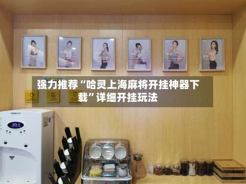 强力推荐“哈灵上海麻将开挂神器下载	”详细开挂玩法-第2张图片