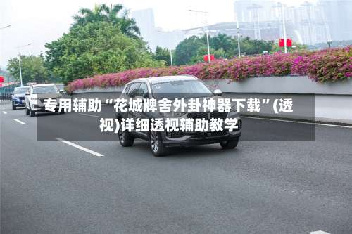 专用辅助“花城牌舍外卦神器下载”(透视)详细透视辅助教学-第1张图片