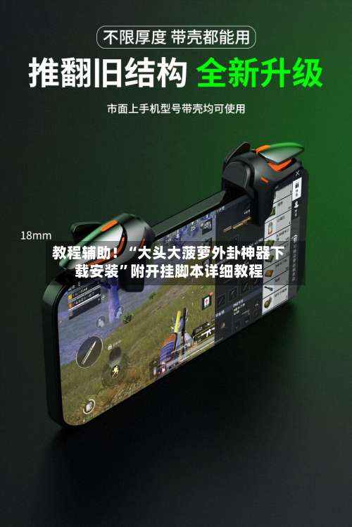 教程辅助！“大头大菠萝外卦神器下载安装”附开挂脚本详细教程-第1张图片