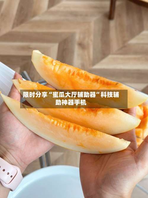 限时分享“蜜瓜大厅辅助器”科技辅助神器手机-第1张图片