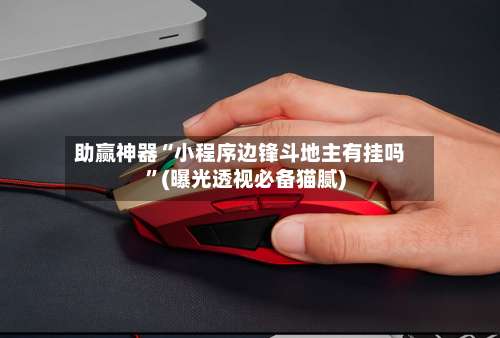 助赢神器“小程序边锋斗地主有挂吗”(曝光透视必备猫腻)-第1张图片