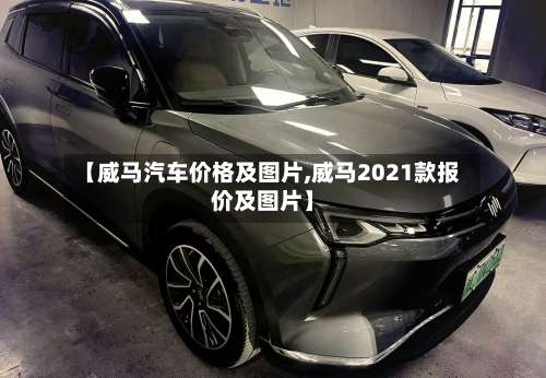 【威马汽车价格及图片,威马2021款报价及图片】-第2张图片