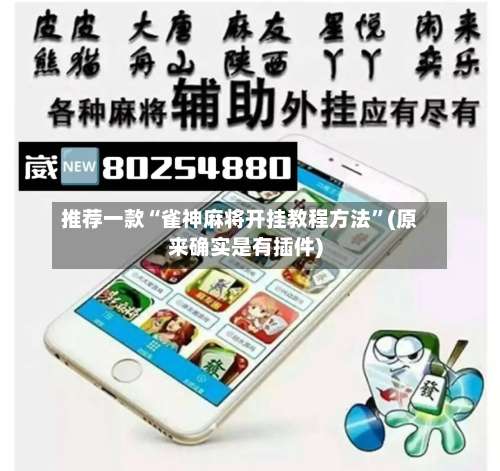 推荐一款“雀神麻将开挂教程方法”(原来确实是有插件)-第2张图片