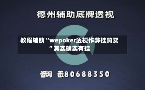 教程辅助“wepoker透视作弊挂购买”其实确实有挂-第2张图片