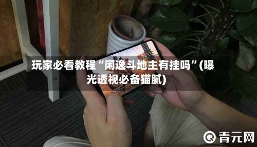 玩家必看教程“闲逸斗地主有挂吗”(曝光透视必备猫腻)-第2张图片