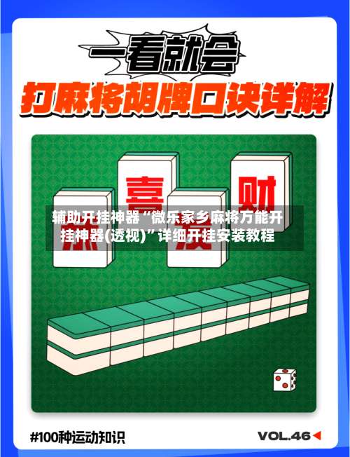 辅助开挂神器“微乐家乡麻将万能开挂神器(透视)”详细开挂安装教程-第2张图片