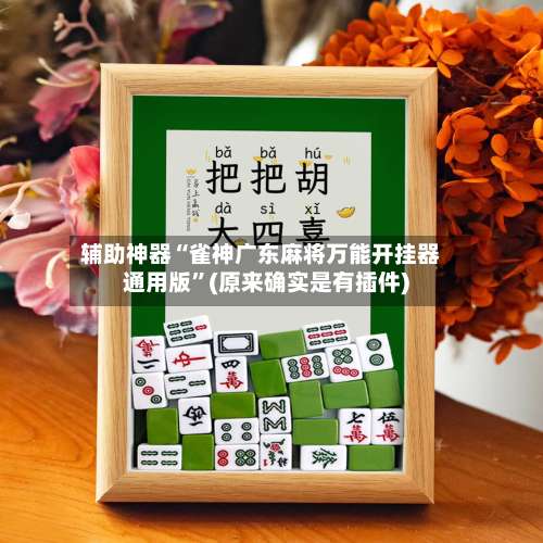 辅助神器“雀神广东麻将万能开挂器通用版”(原来确实是有插件)-第1张图片