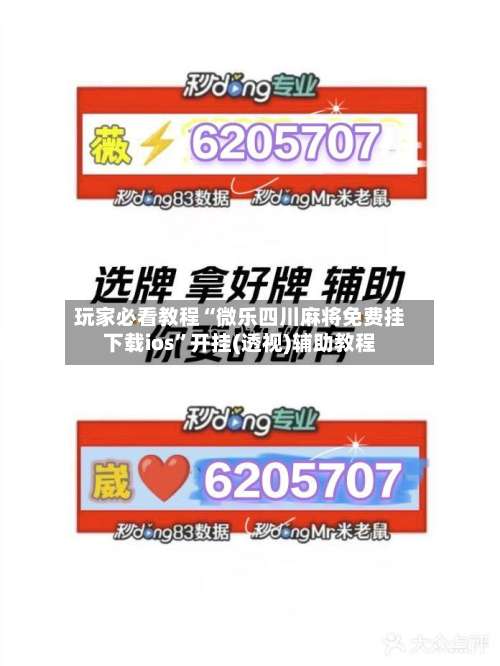 玩家必看教程“微乐四川麻将免费挂下载ios	”开挂(透视)辅助教程-第1张图片