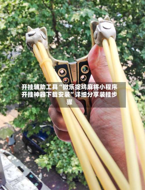 开挂辅助工具“微乐捉鸡麻将小程序开挂神器下载安装	”详细分享装挂步骤-第2张图片