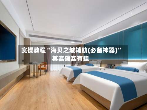 实操教程“海贝之城辅助(必备神器)	”其实确实有挂-第2张图片