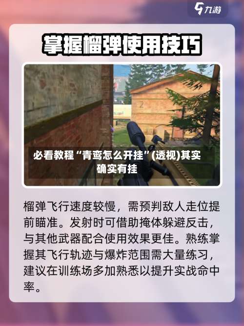 必看教程“青鸾怎么开挂	”(透视)其实确实有挂-第1张图片