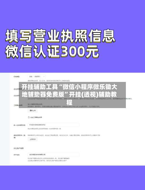 开挂辅助工具“微信小程序微乐锄大地辅助器免费版	”开挂(透视)辅助教程-第3张图片