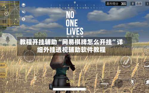 教程开挂辅助“网易棋牌怎么开挂”详细外挂透视辅助软件教程-第3张图片