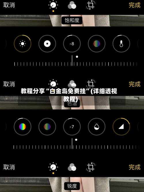 教程分享“白金岛免费挂	”(详细透视教程)-第2张图片