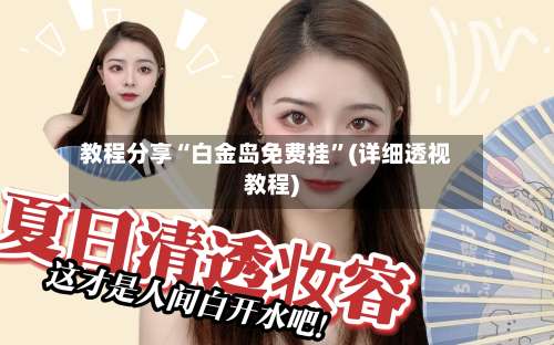 教程分享“白金岛免费挂”(详细透视教程)-第1张图片