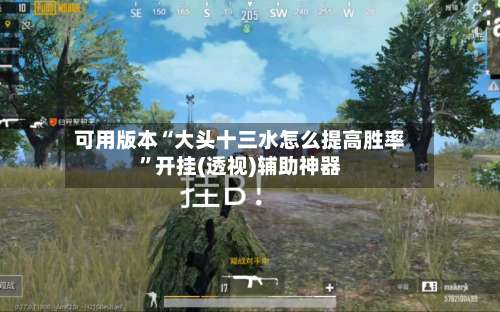 可用版本“大头十三水怎么提高胜率”开挂(透视)辅助神器-第1张图片
