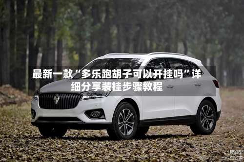 最新一款“多乐跑胡子可以开挂吗	”详细分享装挂步骤教程-第2张图片