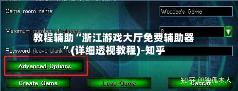 教程辅助“浙江游戏大厅免费辅助器”(详细透视教程)-知乎-第2张图片