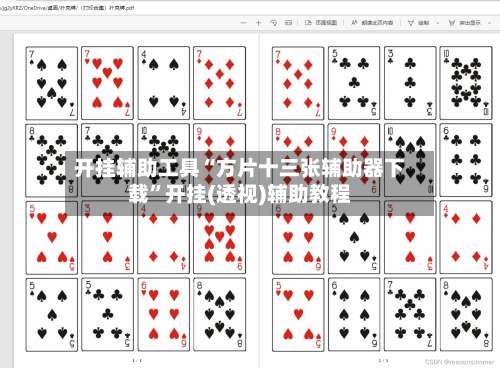 开挂辅助工具“方片十三张辅助器下载”开挂(透视)辅助教程-第2张图片