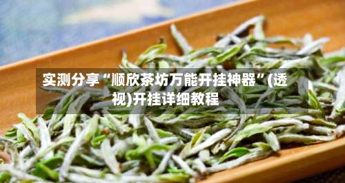 实测分享“顺欣茶坊万能开挂神器”(透视)开挂详细教程-第1张图片