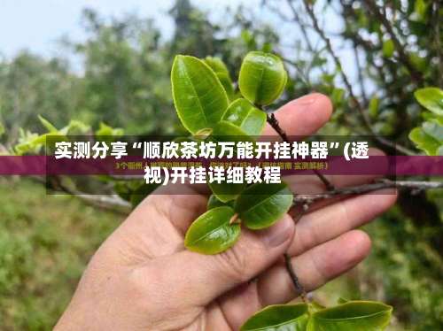 实测分享“顺欣茶坊万能开挂神器	”(透视)开挂详细教程-第2张图片