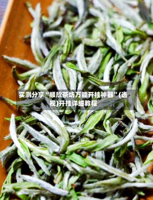 实测分享“顺欣茶坊万能开挂神器”(透视)开挂详细教程-第3张图片