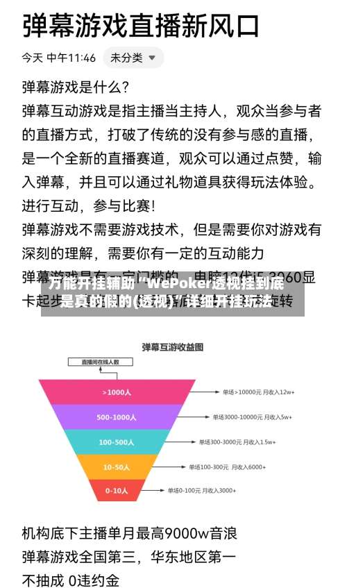 万能开挂辅助“WePoker透视挂到底是真的假的(透视)”详细开挂玩法-第2张图片