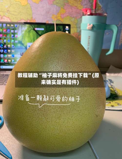 教程辅助“柚子麻将免费挂下载”(原来确实是有插件)-第3张图片