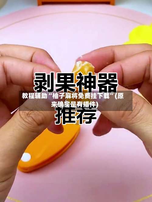 教程辅助“柚子麻将免费挂下载	”(原来确实是有插件)-第2张图片