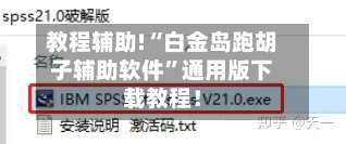 教程辅助!“白金岛跑胡子辅助软件	”通用版下载教程！-第2张图片
