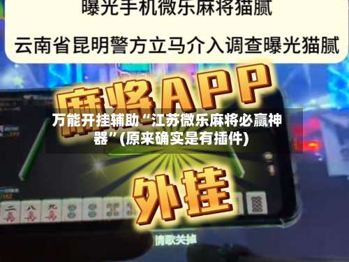 万能开挂辅助“江苏微乐麻将必赢神器”(原来确实是有插件)-第2张图片