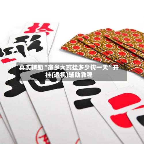 真实辅助“家乡大贰挂多少钱一天	”开挂(透视)辅助教程-第1张图片