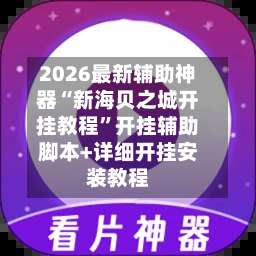 2026最新辅助神器“新海贝之城开挂教程”开挂辅助脚本+详细开挂安装教程-第2张图片