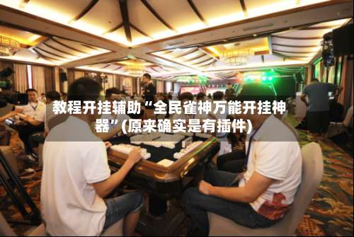 教程开挂辅助“全民雀神万能开挂神器”(原来确实是有插件)-第2张图片