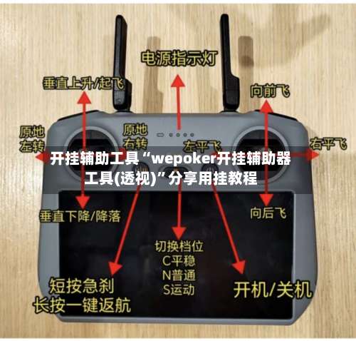 开挂辅助工具“wepoker开挂辅助器工具(透视)	”分享用挂教程-第1张图片